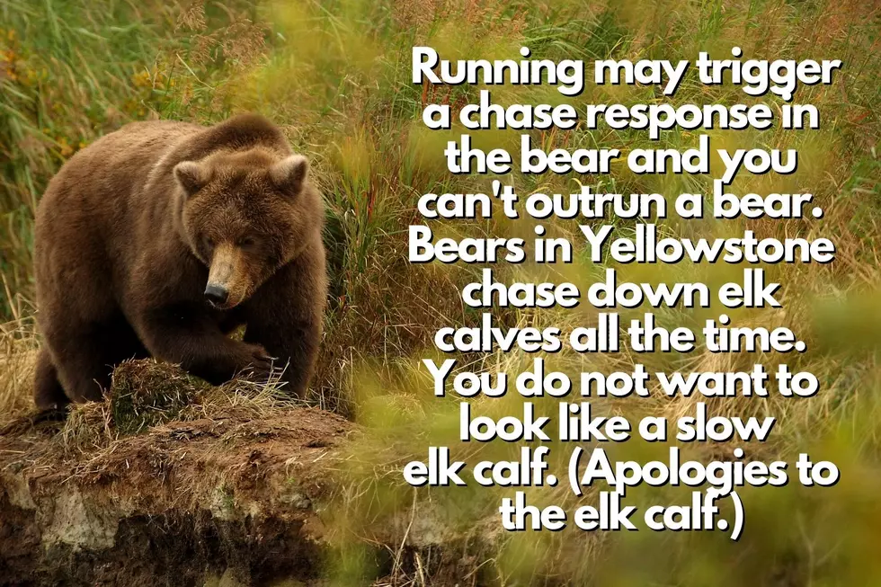 National Park Service via Facebook / Canva