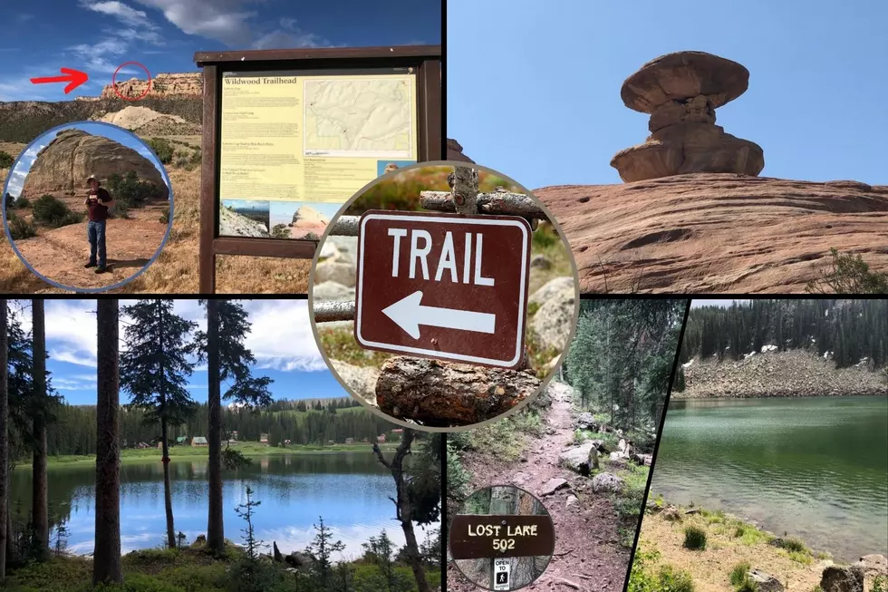 Awesome Colorado Hiking Trails You Need to Do Before Winter