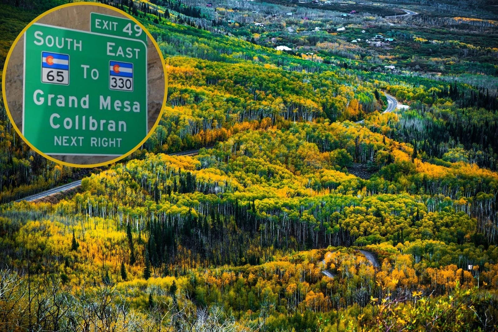 25 Things You Need to Know Before Visiting Colorado's Grand Mesa