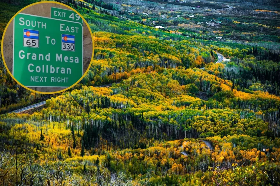 25 Things You Need to Know Before Visiting Colorado’s Grand Mesa
