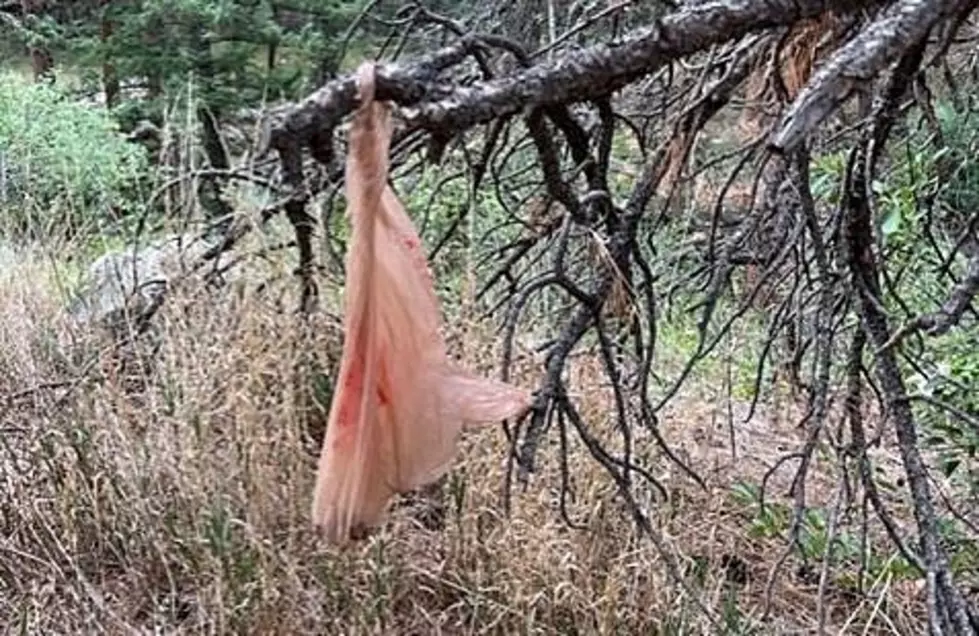 Poo Bag