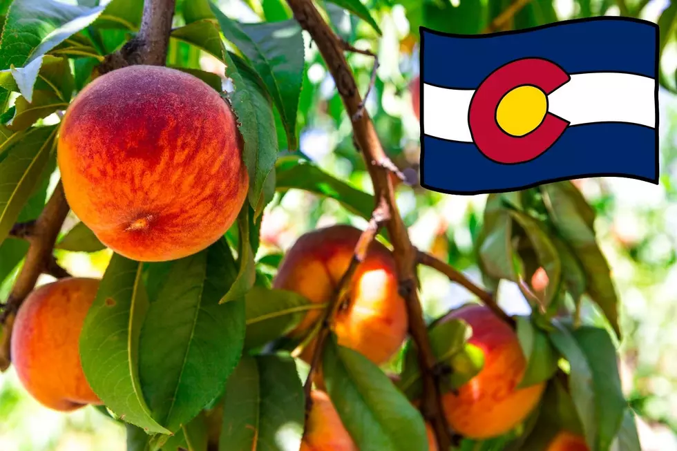 Grand Junction&#8217;s Favorite Ways to Enjoy Fresh Colorado Peaches
