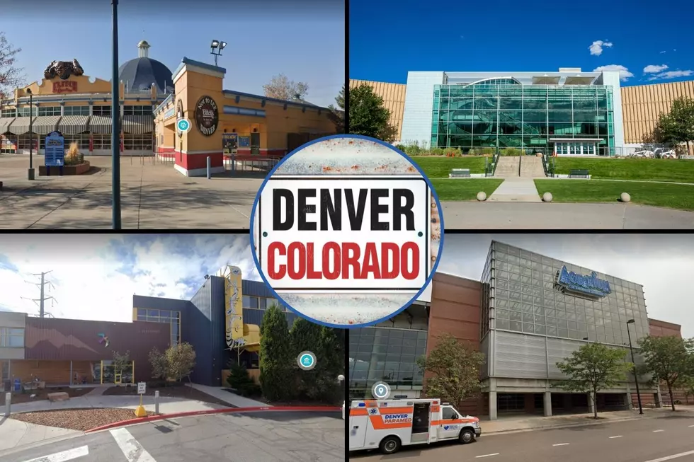Activities You Must Do with Your Kids in Denver Colorado