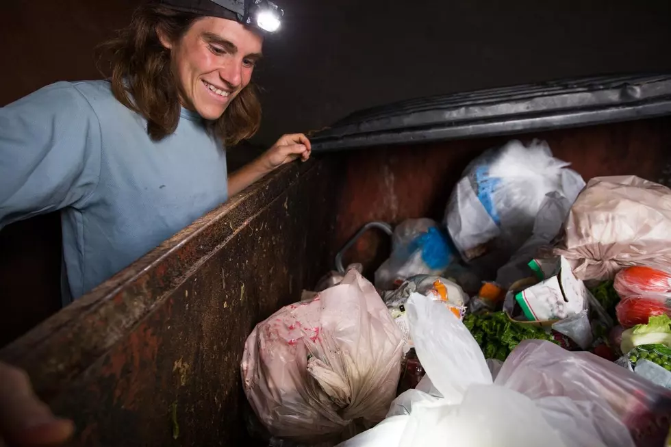 Are You Breaking the Law? Is It Illegal To Dumpster Dive In Colorado