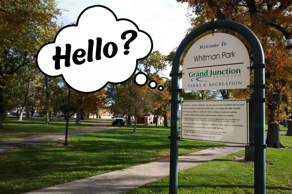 Why Is Grand Junction's Whitman Park Suddenly Empty?