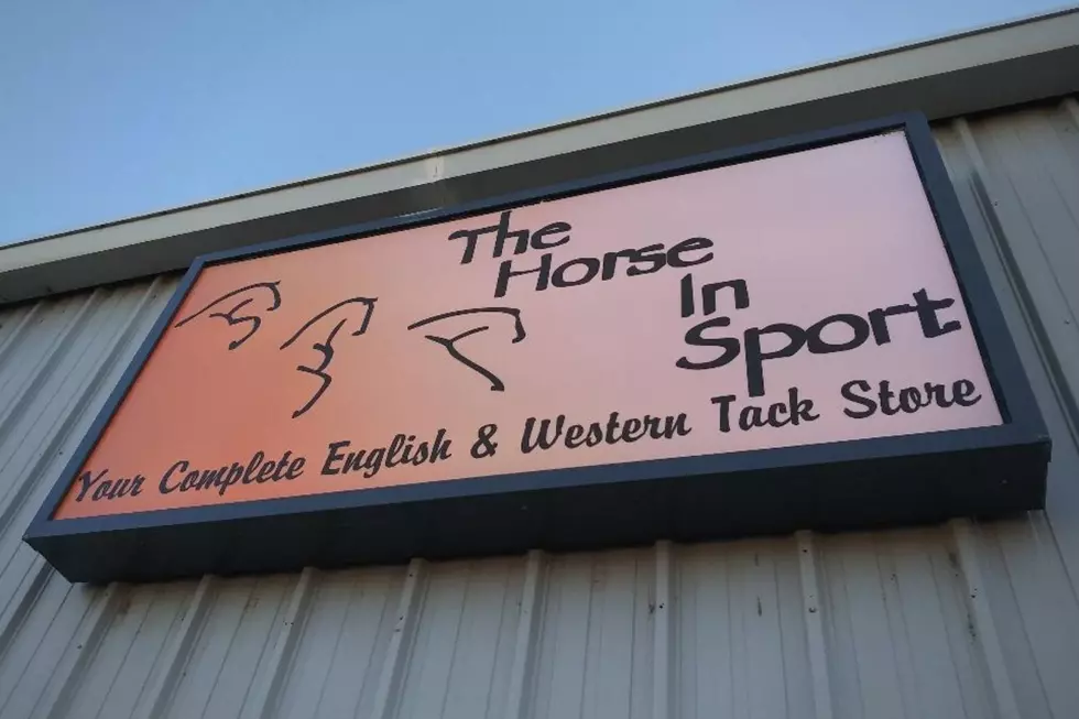 Horse In Sport Grand Junction sign