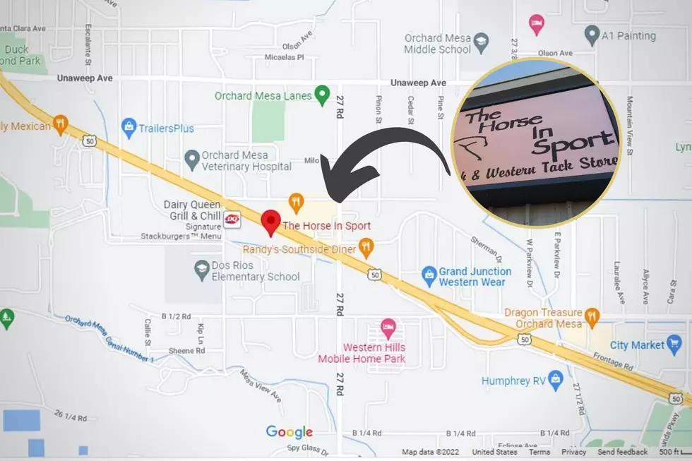 Horse In Sport Grand Junction map