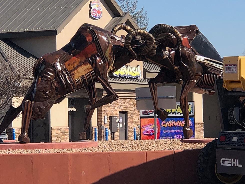 Colorado’s Beloved Bighorn Sheep Now Featured in the Redlands Roundabout