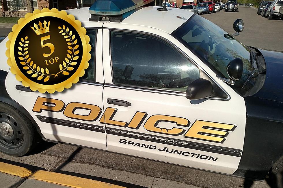 5 Reasons You Should Enroll in Grand Junction Citizens Police Academy