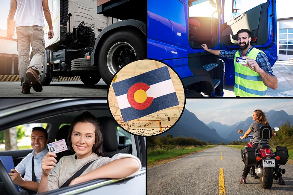 A Guide to the Different Types of Driver’s Licenses in Colorado