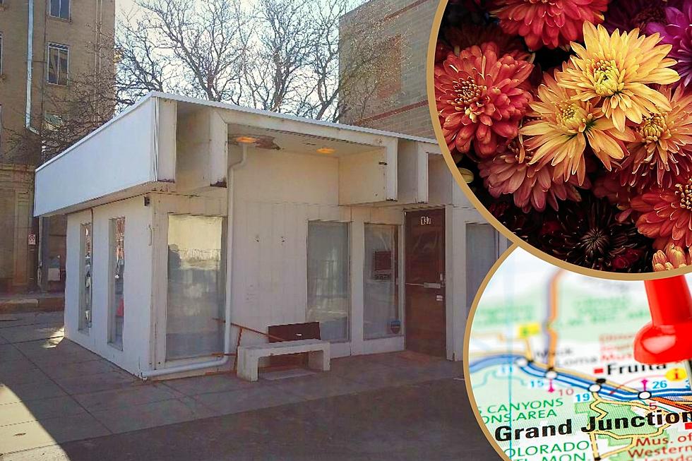 Locally Produced Flower Shop Now Open in Downtown Grand Junction