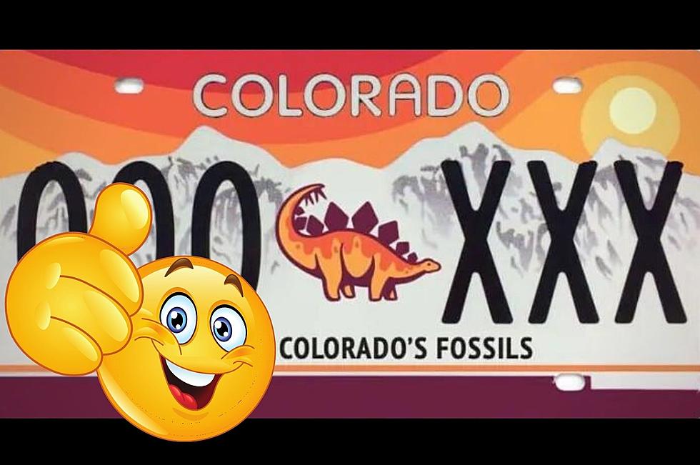 Colorado Digs This Dinosaur License Plate and We Need It Now