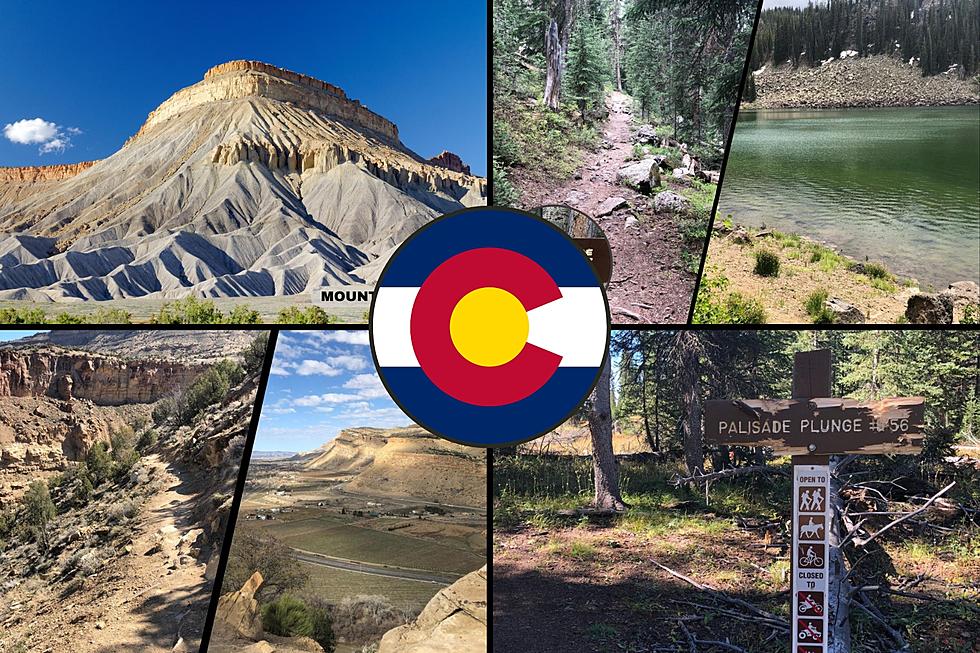 Grand Junction Bucket List: 10 Things Everyone Should Do At Least Once