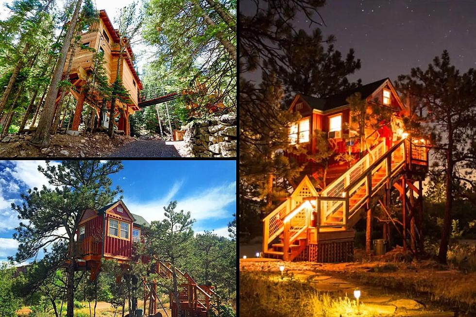 5 Colorado Treehouse Rentals Offer a Fun Summer Escape