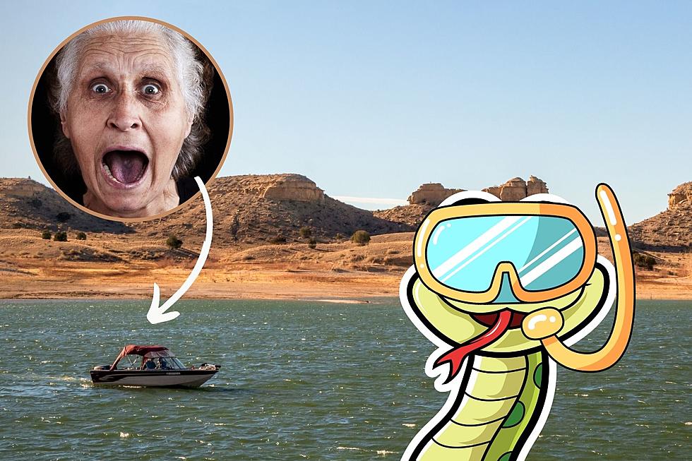These are the Most Snake-Infested Lakes in Colorado