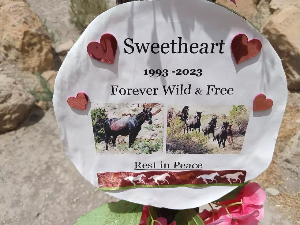 Sweetheart Tribute on Mt. Garfield Trail In Colorado