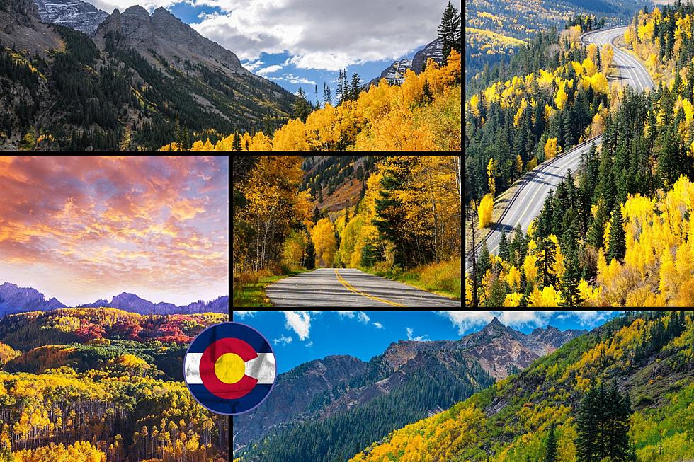 This is When Colorado’s Fall Color Will Peak in 2023