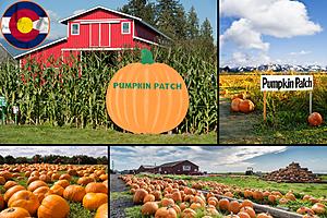 18 Places You Can Pick the Perfect Pumpkin In Colorado This Fall