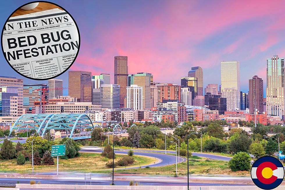 Colorado Bed Bug Alert: 1 City Unveiled As An Infestation Hotspot