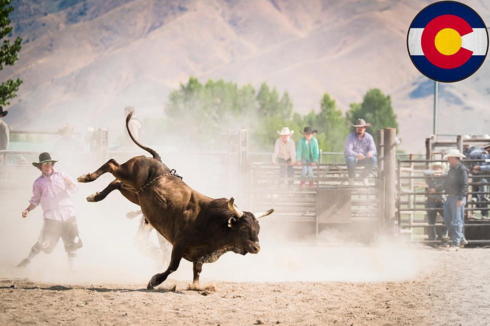 Did You Know the World’s First Rodeo Happened in Colorado?