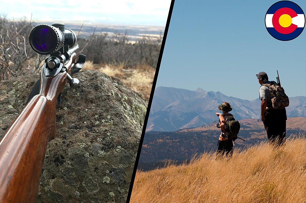 Hunting Year-Round In Colorado: Licenses, Ethics, & Game Species 