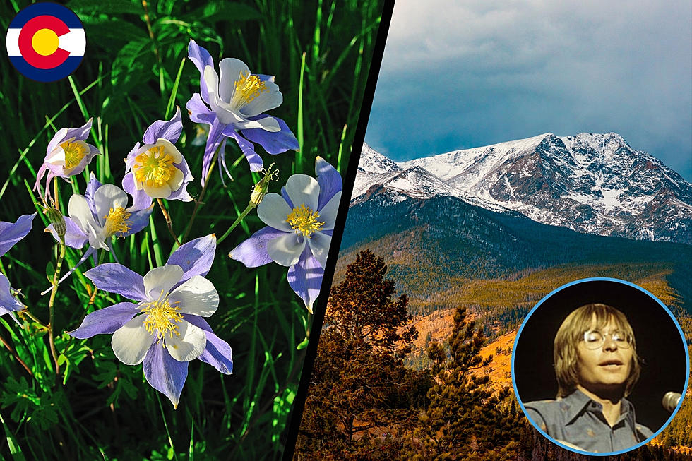 The Beauty Of Colorado In Song: Exploring The State&#8217;s Official Anthems