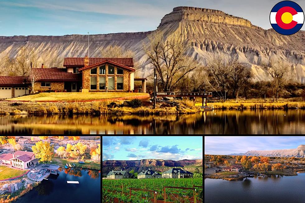 Adventure At Lakeview House: Your Colorado Getaway Awaits