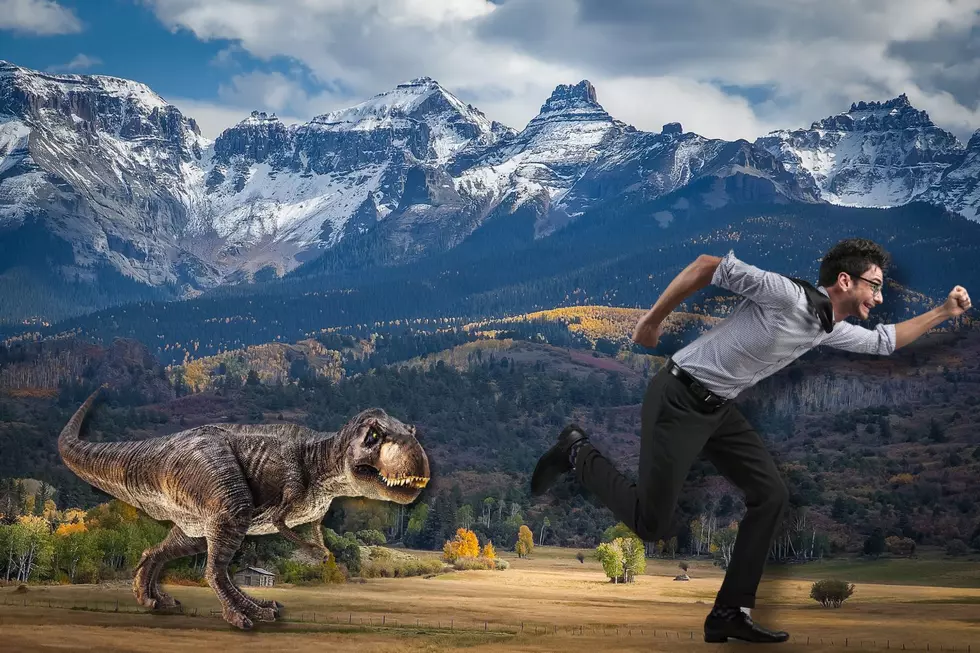 Digging Deeper: Colorado’s Secret Dinosaur Hideouts Revealed