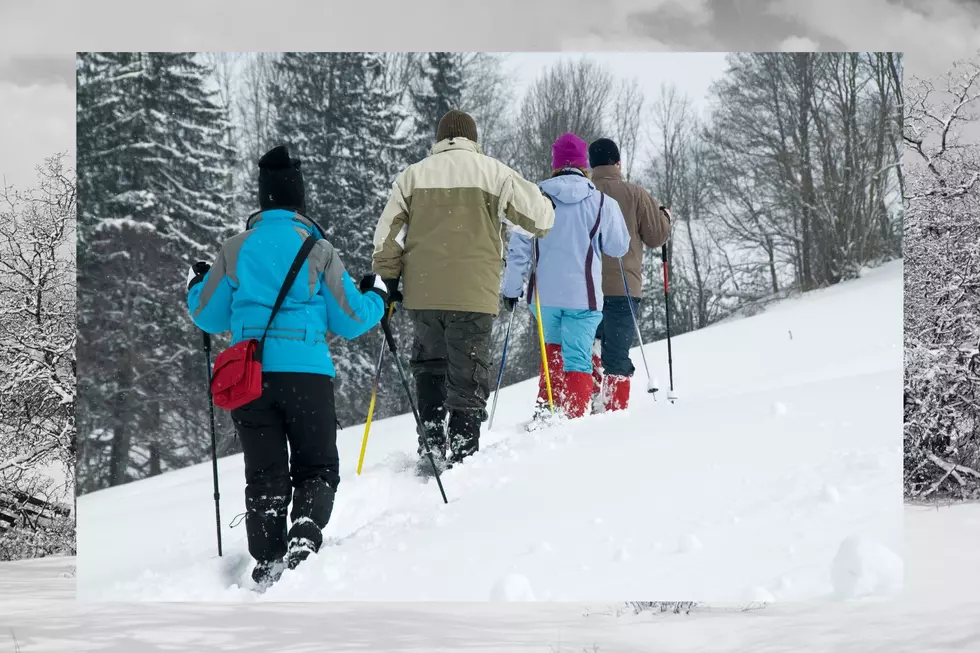 Snowshoeing