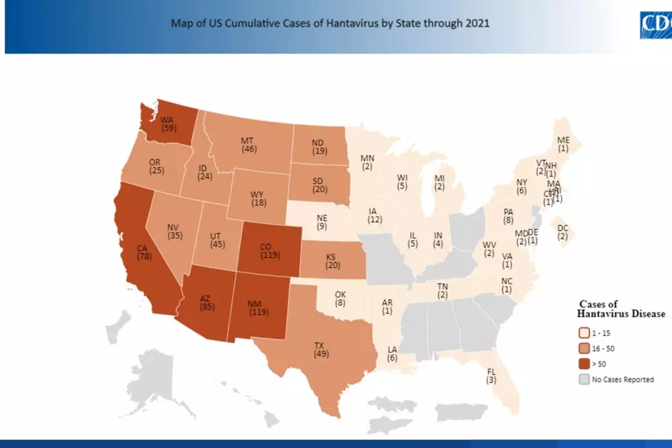 US Map of Hantavirus states