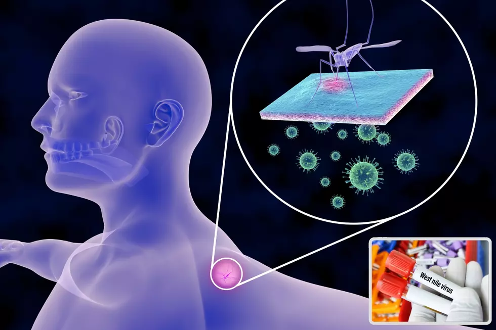 2025 West Nile Cases in Colorado