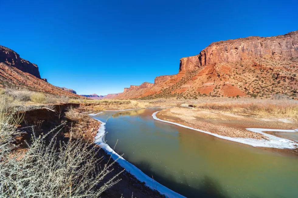 See The Scenic Trails and Petroglyphs of Dominguez Canyon