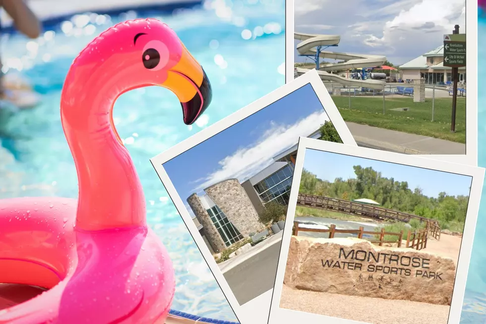 Cool Off At The Best Parks and Pools In Montrose