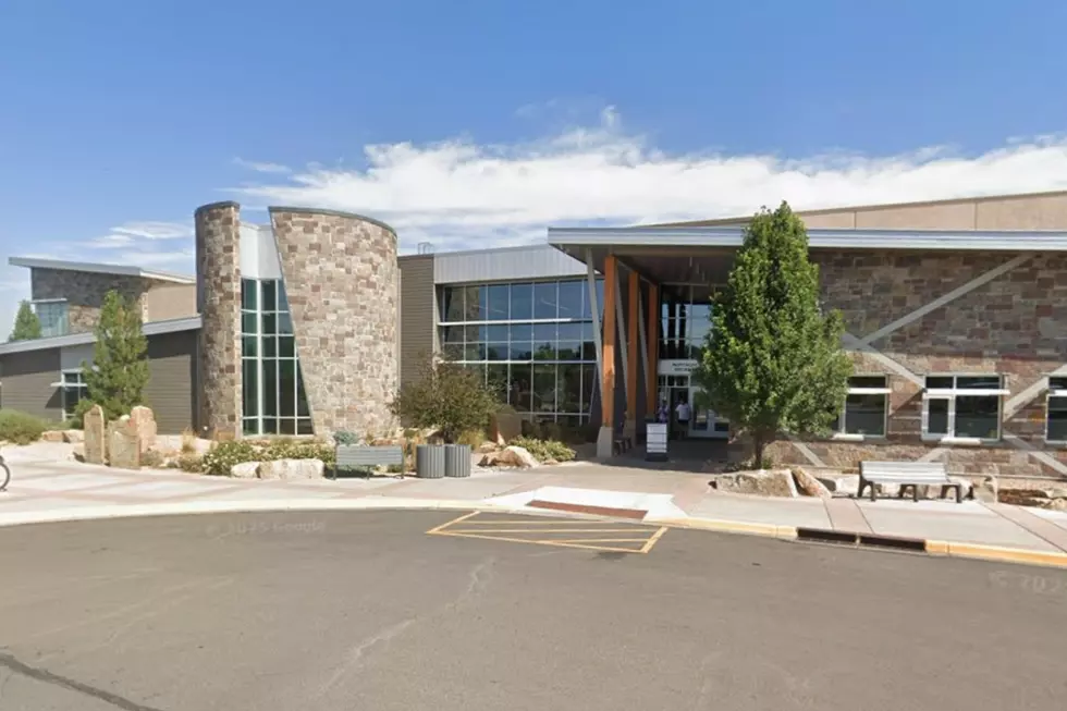 Cool Off At The Best Parks and Pools In Montrose