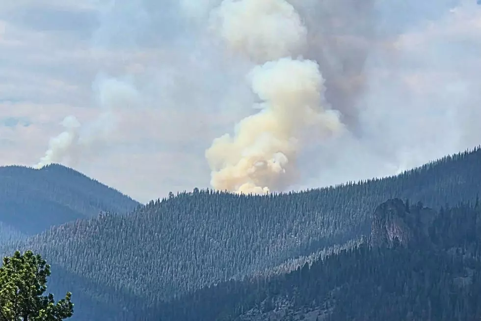 Colorado Elk Fire Forces New Closures in Hinsdale County