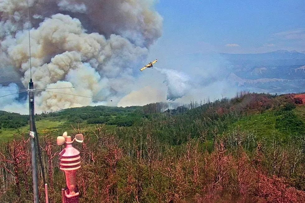 Colorado's 3 Largest Wildfires Tell a Bigger Story This Year