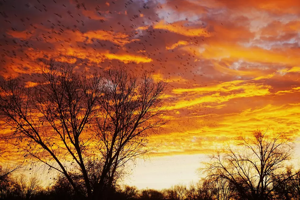 The Hottest Day in Grand Junction Colorado, Explained