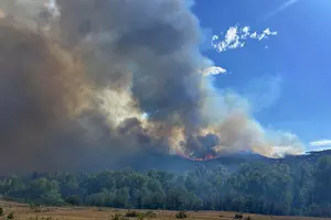 25 Photos Capture the Gold Mountain Fire in Colorado