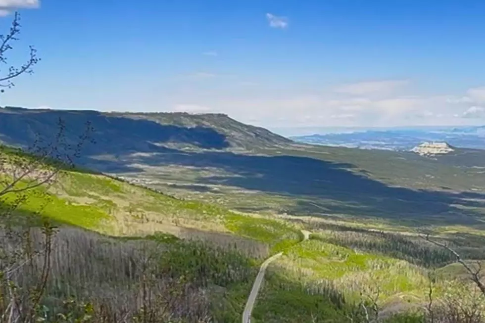 Was Someone Eaten By A Bear On Grand Mesa?