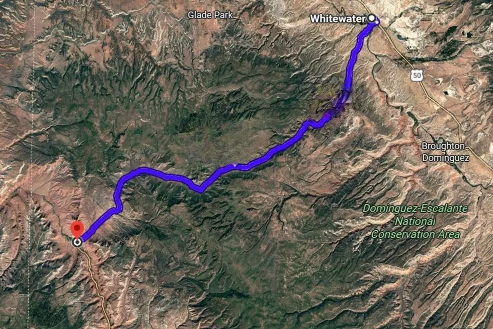 Colorado Plane Crash Ends With an Incredible Survival Story
