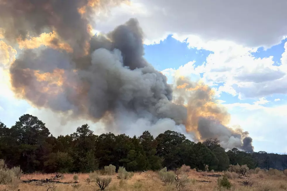 Grand Junction Storms Help Spark New Wildfires Nearby
