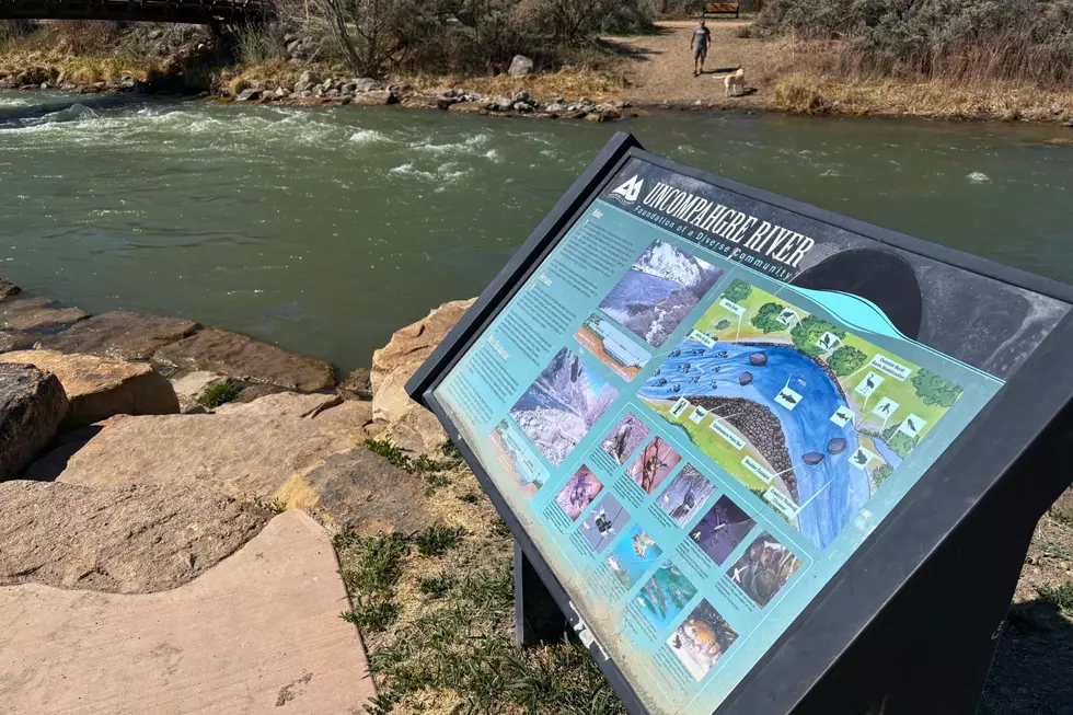 Colorado Families Love This Montrose Summer Hot Spot