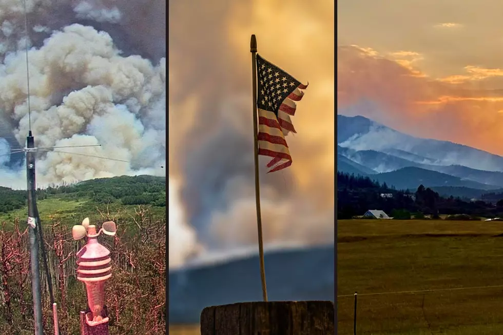 Colorado’s 3 Largest Wildfires Tell a Bigger Story This Year