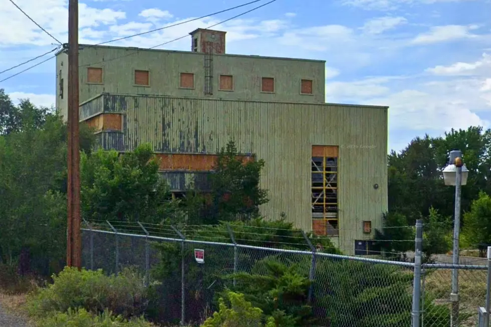 Montrose’s Old Power Plant May Get a Wild New Purpose