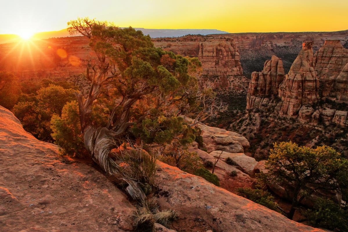 Colorado's July Heat Felt Unforgettable. Here's What Happened