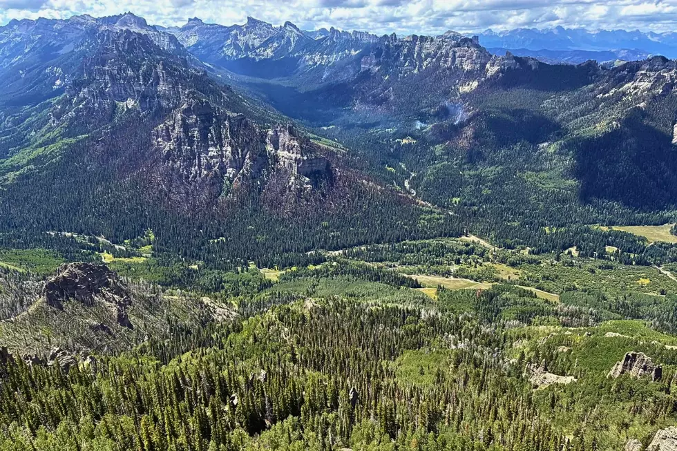 Gold Mountain and Elk Fire: New Command, Closures and Hunting Rules