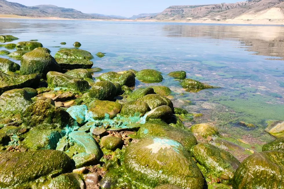 Something Unexpected Was Found in Colorado’s Blue Mesa Reservoir