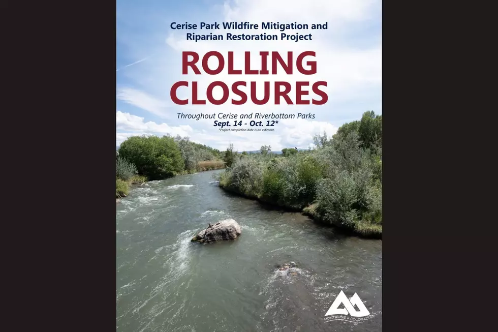 Cerise Park Wildfire Mitigation