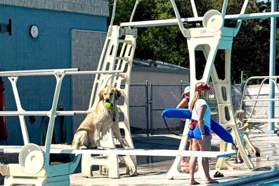 Grand Junction’s Moyer Pool Has a Big Day Planned