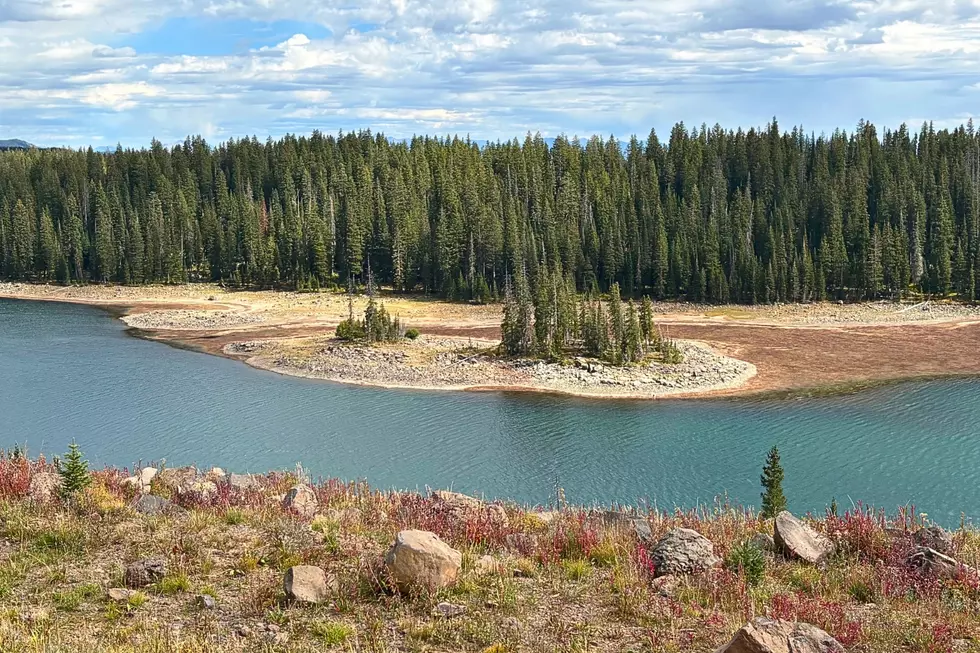 Colorado's Grand Mesa Is Turning Gold: See the Photos